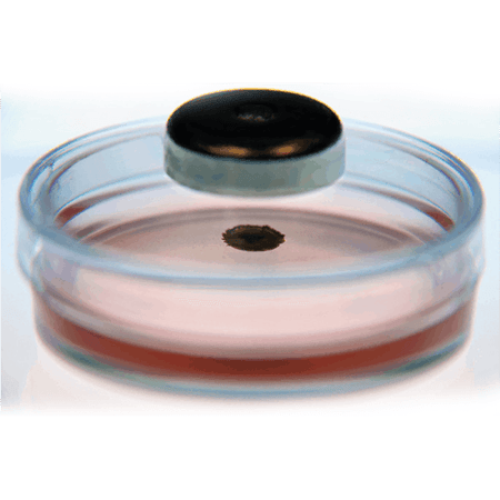 Greiner Bio-One 384-Well BiO Assay Kit & Imaging System